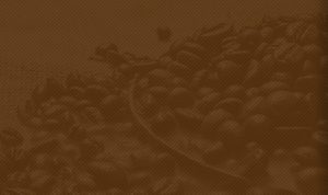Home Coffee BG