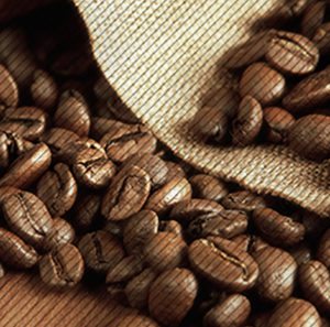 Ethiopia Bean Image