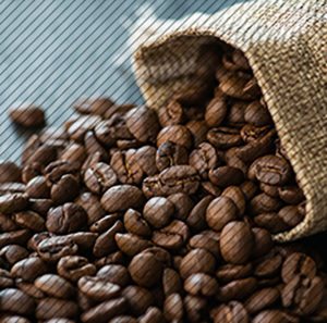 Peru Bean Image