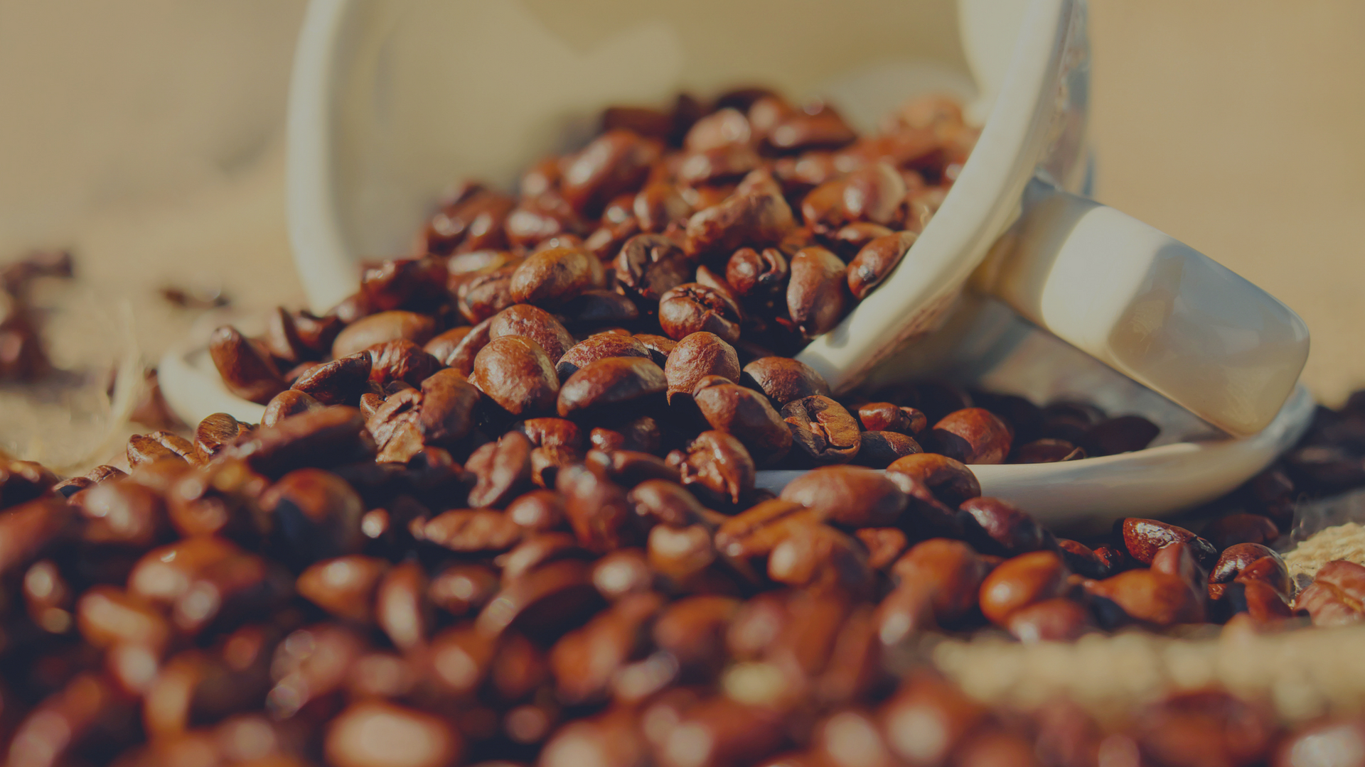Grumpy Goat Coffee Sumatra Blog