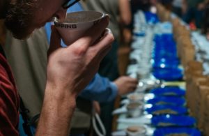 coffee cupping sniffing vessels of coffee